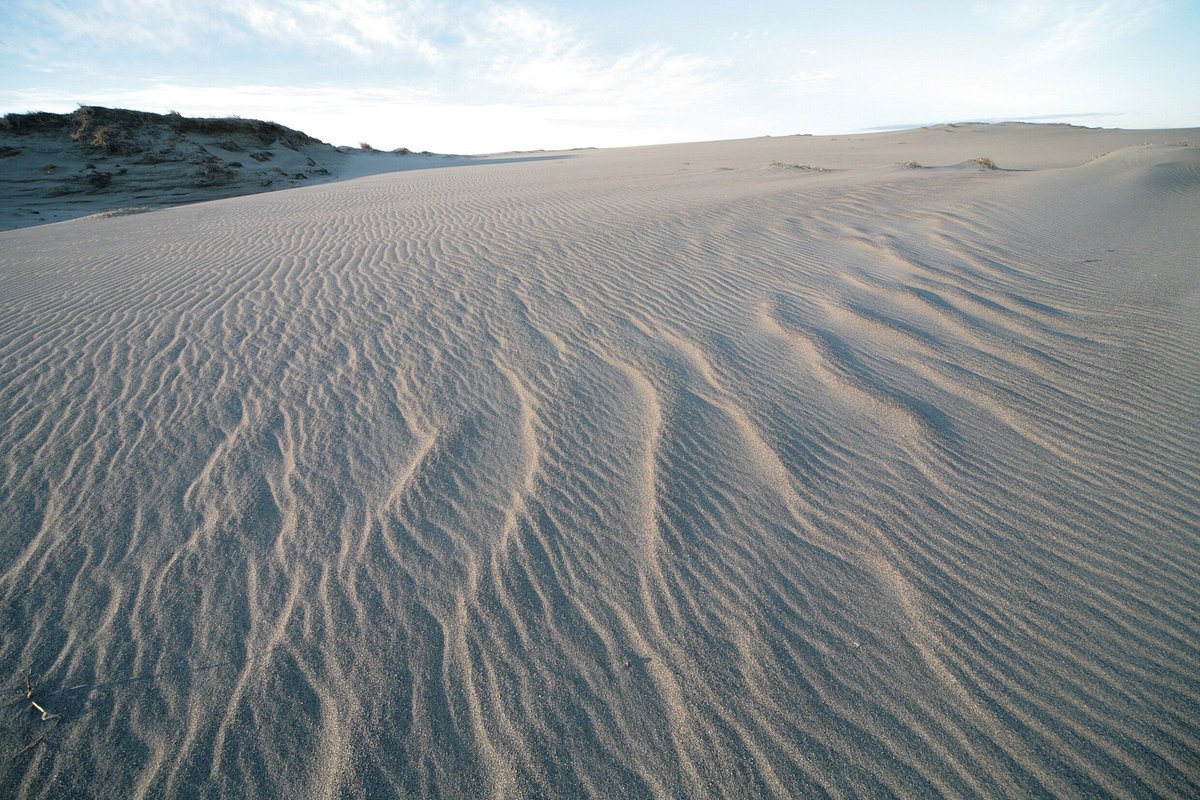 🏖️ 나카타지마 사구 이미지 3